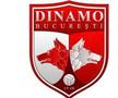 Au apărut primele propuneri pentru noua siglă a lui Dinamo / Sursă foto: Facebook