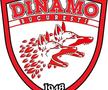 Au apărut primele propuneri pentru noua siglă a lui Dinamo / Sursă foto: Facebook