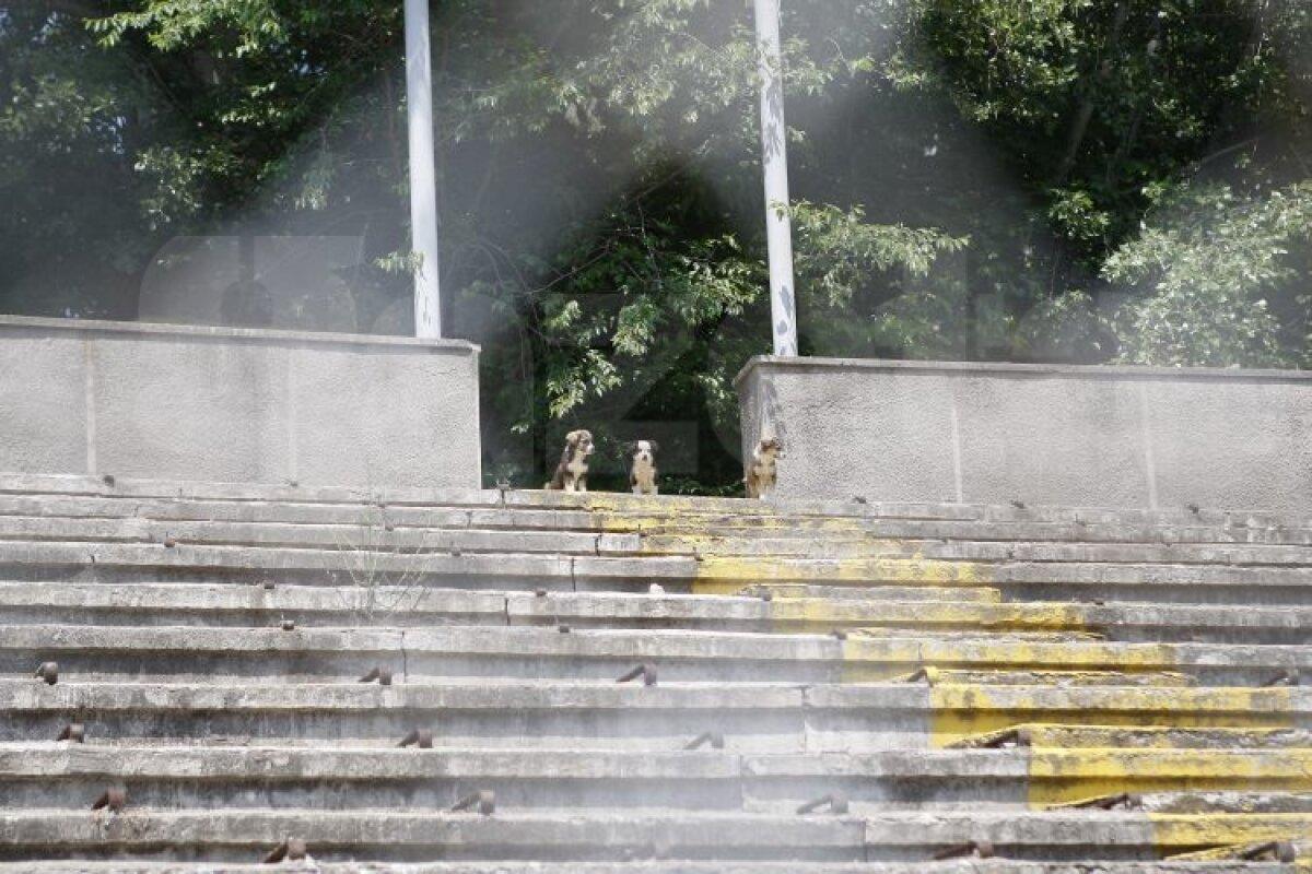 Aici va fi ridicat noul stadion de 100 de milioane din Superliga » Anunț oficial făcut astăzi: „Capacitate cât 10% din totalul populației orașului”
