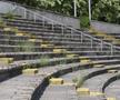 Imagine din 2011, atunci când Marius Stan plănuia să joace în Liga Campionilor pe stadionul Dunărea. Foto: GSP