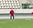 Ce spune Viorel Moldovan despre Neil Lennon + Soluția salvatoare pentru atacul României: „Pe el aș miza”