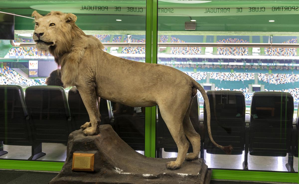 Estadio Jose Alvalade, din Lisabona