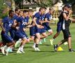 FCU Craiova, antrenament 22 05 2020. Armin Gremsl, testat de Mutu