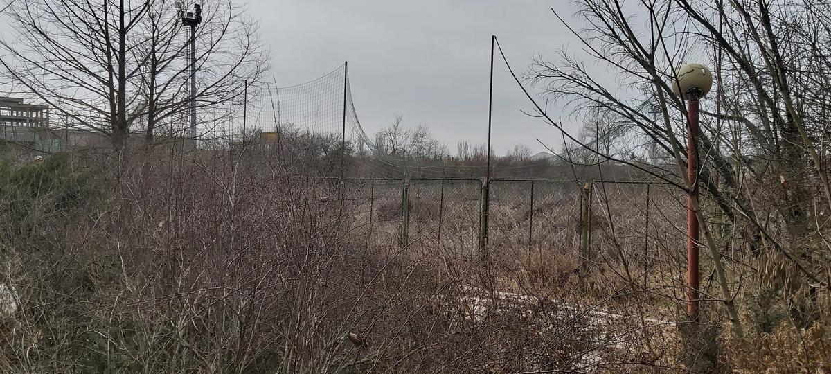 Dan Șucu, în „inspecție” la baza de 5,5 milioane de euro a Rapidului » Lucrările capătă avânt