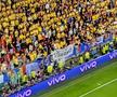 Torțe în peluza României