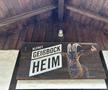 Oracolul din Koln, țapul Hennes, a pronosticat rezultatul la Belgia - România » Suspiciuni de „blat” :)