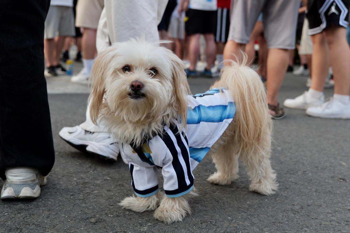 Cum s-a trăit la București meciul Argentinei cu Austria: frenezie pentru Messi în piața George Enescu