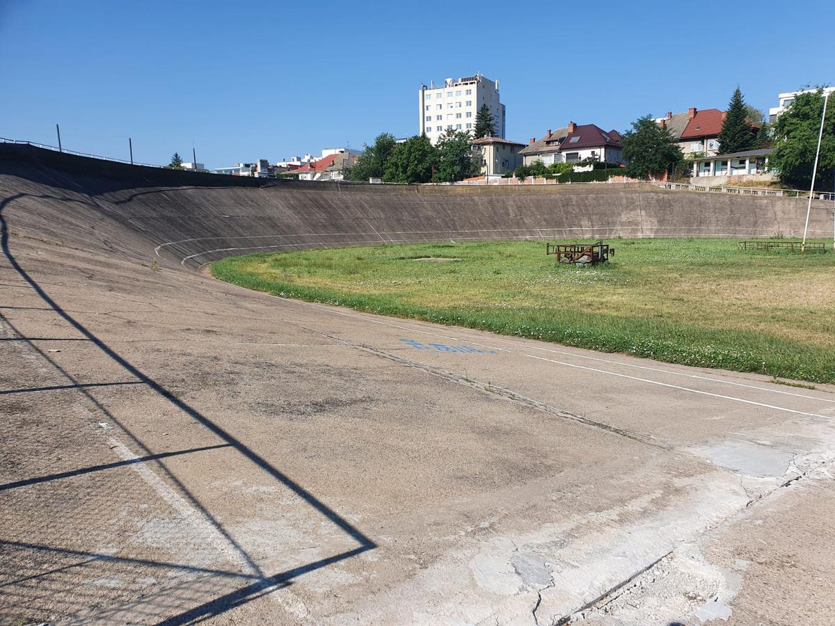 DINAMO. EXCLUSIV Marius Niculae, atac la jucătorii „câinilor”: „Nu sunt profesioniști! E o debandadă totală”