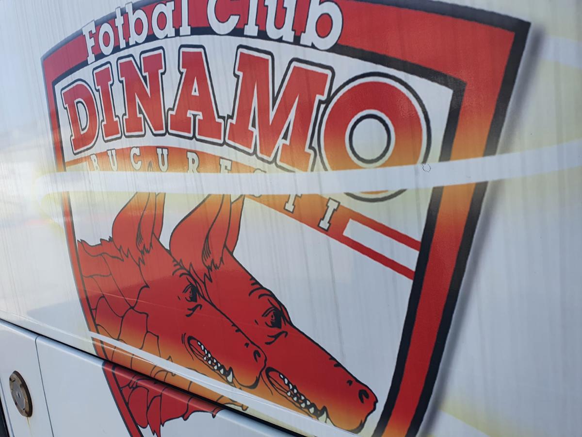 DINAMO. EXCLUSIV Marius Niculae, atac la jucătorii „câinilor”: „Nu sunt profesioniști! E o debandadă totală”