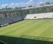 Gazon Arc de Triumf înainte de FCSB - Dinamo