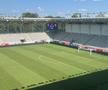 Gazon Arc de Triumf înainte de FCSB - Dinamo