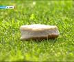 Fanii echipelor norvegiene Rosenborg și Lillestrom au aruncat cu mingi de tenis pe teren, iar meciul a fost suspendat