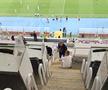 Masa presei pe stadionul „Todor Proeski" Skopje, la Shkendija - FCSB