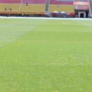 Imagini cu arena din Skopje înainte de Shkendija - FCSB // foto: Andrei Furnigă (GSP)