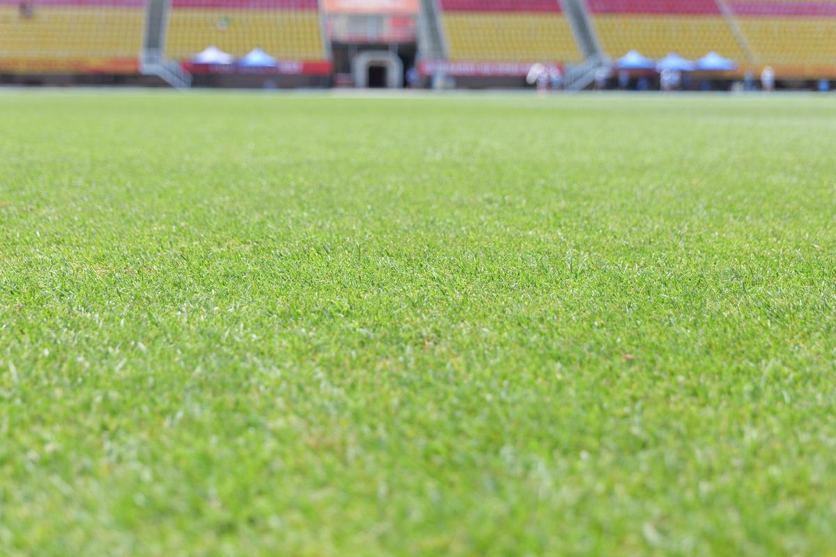 Imagini cu arena din Skopje înainte de Shkendija - FCSB // foto: Andrei Furnigă (GSP)