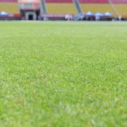GSP vă prezintă în exclusivitate imagini de pe stadionul unde se desfășoară și FOTE 2025, și meciul Shkendija - FCSB! Cum arată gazonul // FOTO: Andrei Furnigă (GSP)