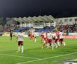 FC Botoșani - Rapid / Sursă foto: Ionuț Tabultoc (Gazeta Sporturilor)