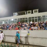 FC Botoșani - Rapid / Sursă foto: Ionuț Tabultoc (Gazeta Sporturilor)