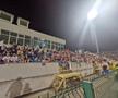 FC Botoșani - Rapid / Sursă foto: Ionuț Tabultoc (Gazeta Sporturilor)