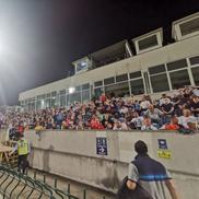 FC Botoșani - Rapid / Sursă foto: Ionuț Tabultoc (Gazeta Sporturilor)