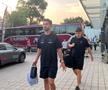 Dinamo - U Cluj, înainte de meci