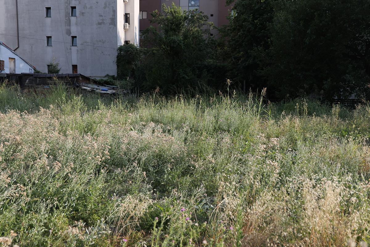 ȘOCANT! Ce s-a ales de vila de 2 milioane de euro a lui Vasile Turcu, în 9 ani de la decesul fostului acționar de la Dinamo