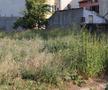 La 2 milioane de euro este evaluată fosta proprietate a lui Vasile Turcu, astăzi doar un teren. Foto: Andrei Furnigă, GSP