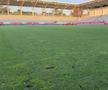 Dinamo - U Cluj, înainte de meci