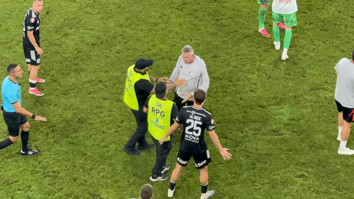 Bergodi, scandal după Dinamo - U Cluj