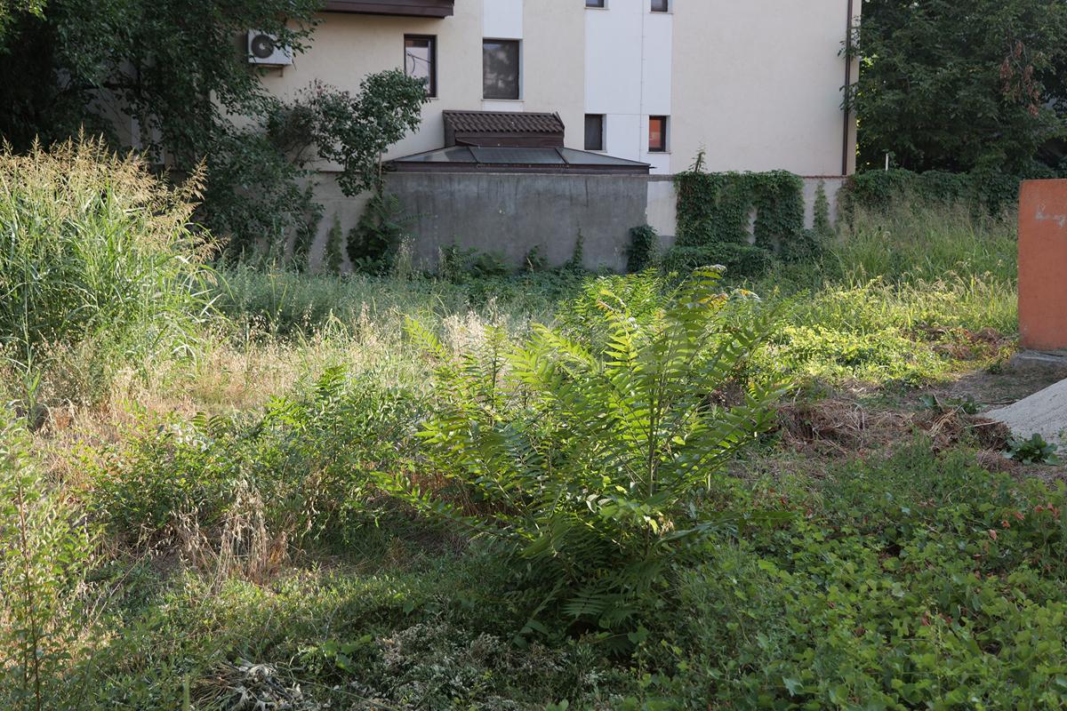ȘOCANT! Ce s-a ales de vila de 2 milioane de euro a lui Vasile Turcu, în 9 ani de la decesul fostului acționar de la Dinamo