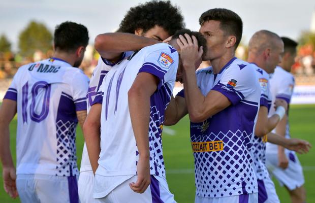 Croitoru eliminat de Croitoru » Cronica meciului FC Argeș - FC Botoșani