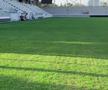 Gazonul arenei Arcul de Triumf, înainte de Dinamo - Farul
