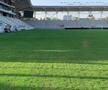 Gazonul arenei Arcul de Triumf, înainte de Dinamo - Farul