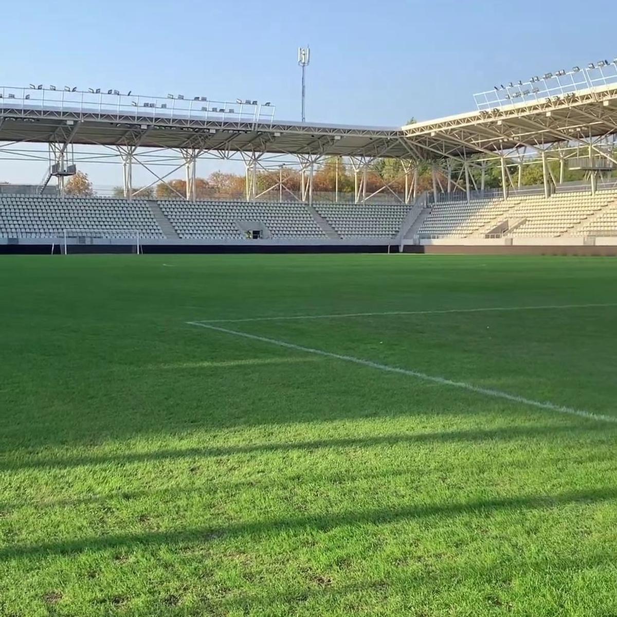 Gazonul arenei Arcul de Triumf, înainte de Dinamo - Farul