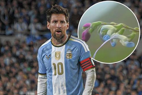 Cum arată planta rară, pe cale de dispariție, denumită după Lionel Messi // foto: ESPN FC