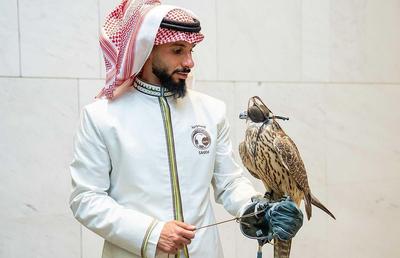 Marcatorii Arabiei Saudite care au năucit Argentina, antrenați de 3 români! Povești colosale aflate de GSP: „Vezi să nu te mănânce leopardul cu totul!”