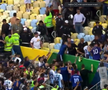 Scene violente la Brazilia - Argentina!