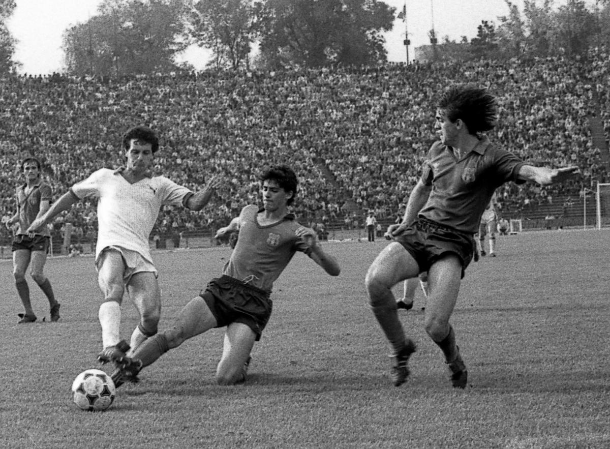 belodedici - steaua rosie, steaua bucuresti, nationala romaniei