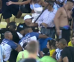 Scene violente la Brazilia - Argentina!