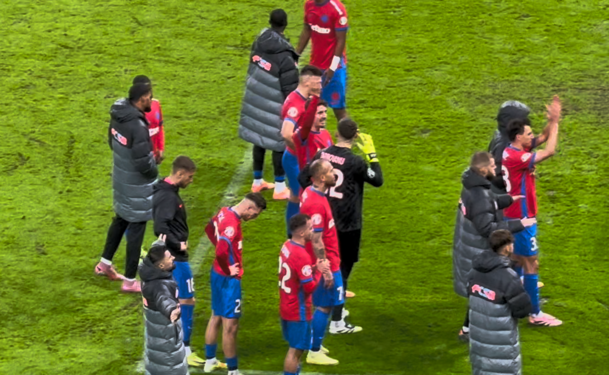 Imagini de la finalul meciului FCSB - Petrolul