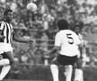 Pele - evergreen