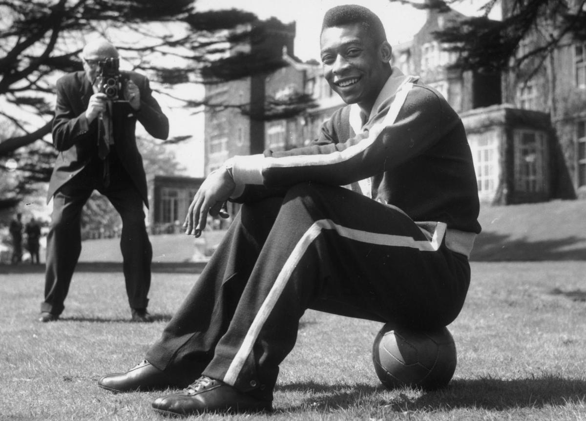 Pele - evergreen