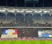 Scenografii și mesaje ironice la Dinamo - Rapid (FOTO: GSP)