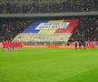 Scenografii și mesaje ironice la Dinamo - Rapid (FOTO: GSP)