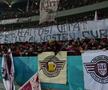 Scenografii și mesaje ironice la Dinamo - Rapid (FOTO: GSP)