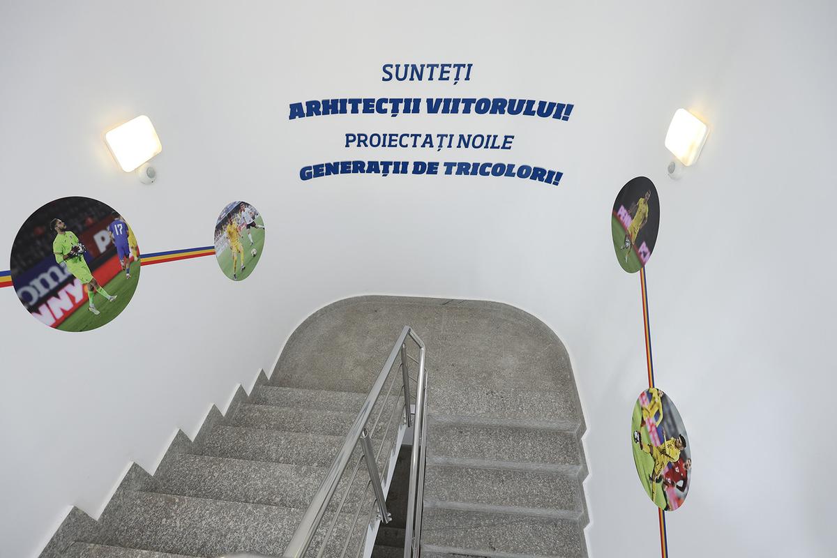Birouri noi la FRF - Edi Iordanescu