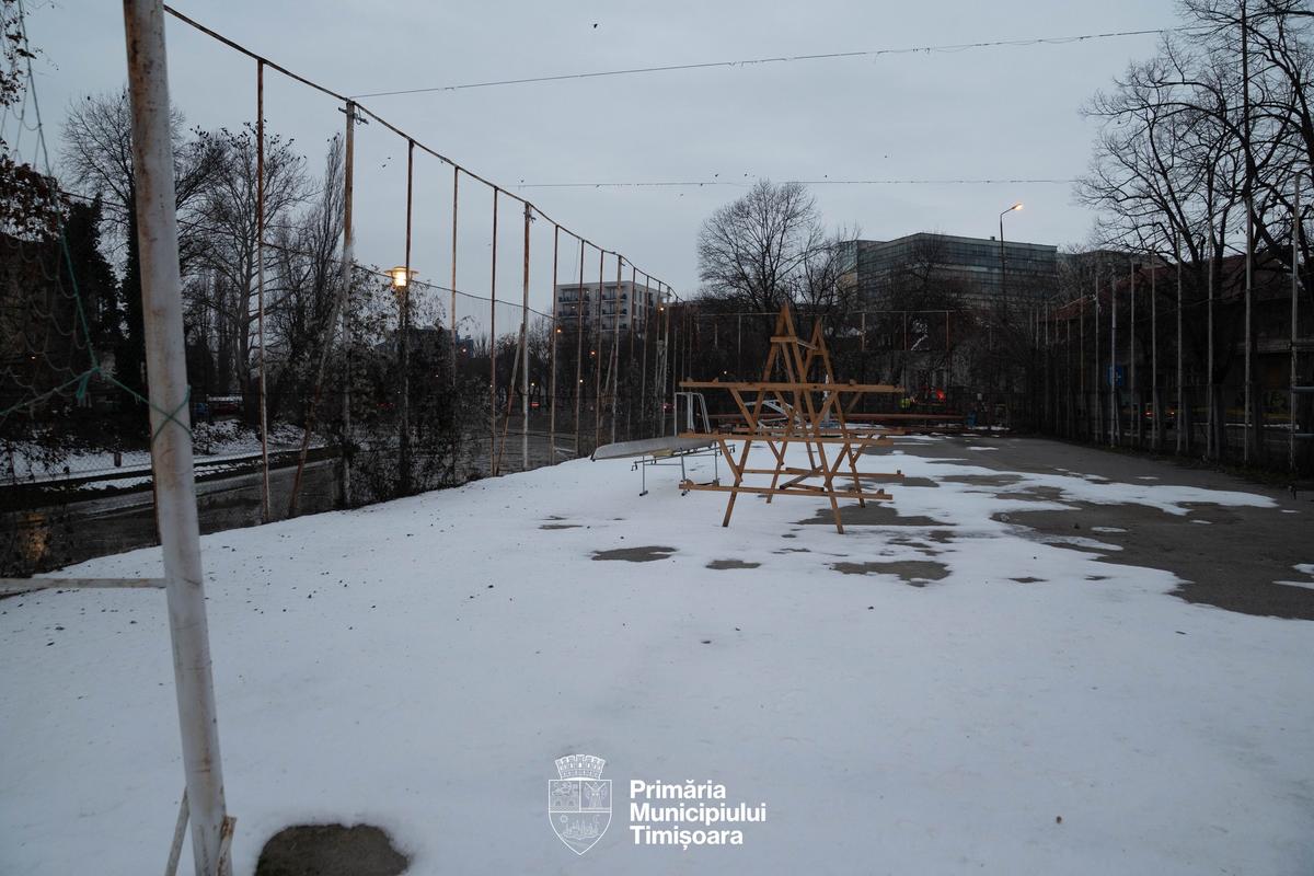 Conflict la Timișoara între Primărie și clubul la care a început canotajul campionul olimpic Marian Enache
