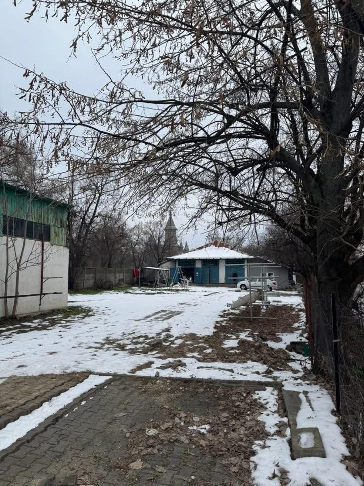 Conflict la Timișoara între Primărie și clubul la care a început canotajul campionul olimpic Marian Enache