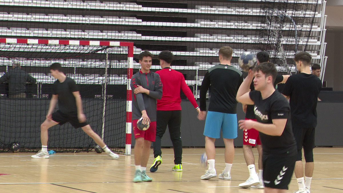 Andrei Negrilă - handbal