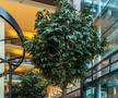 Radisson Blu Hotel, Koln